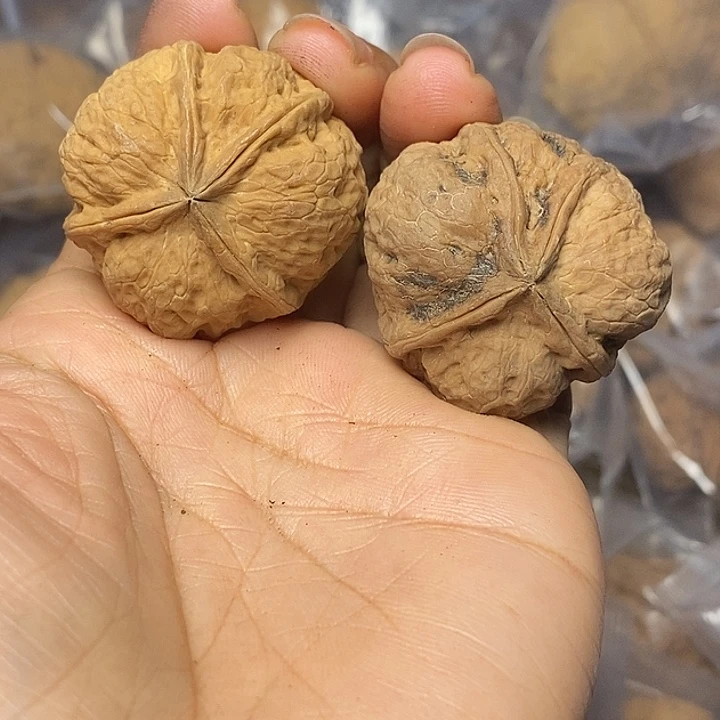 把件文玩核桃云南铁核桃93
