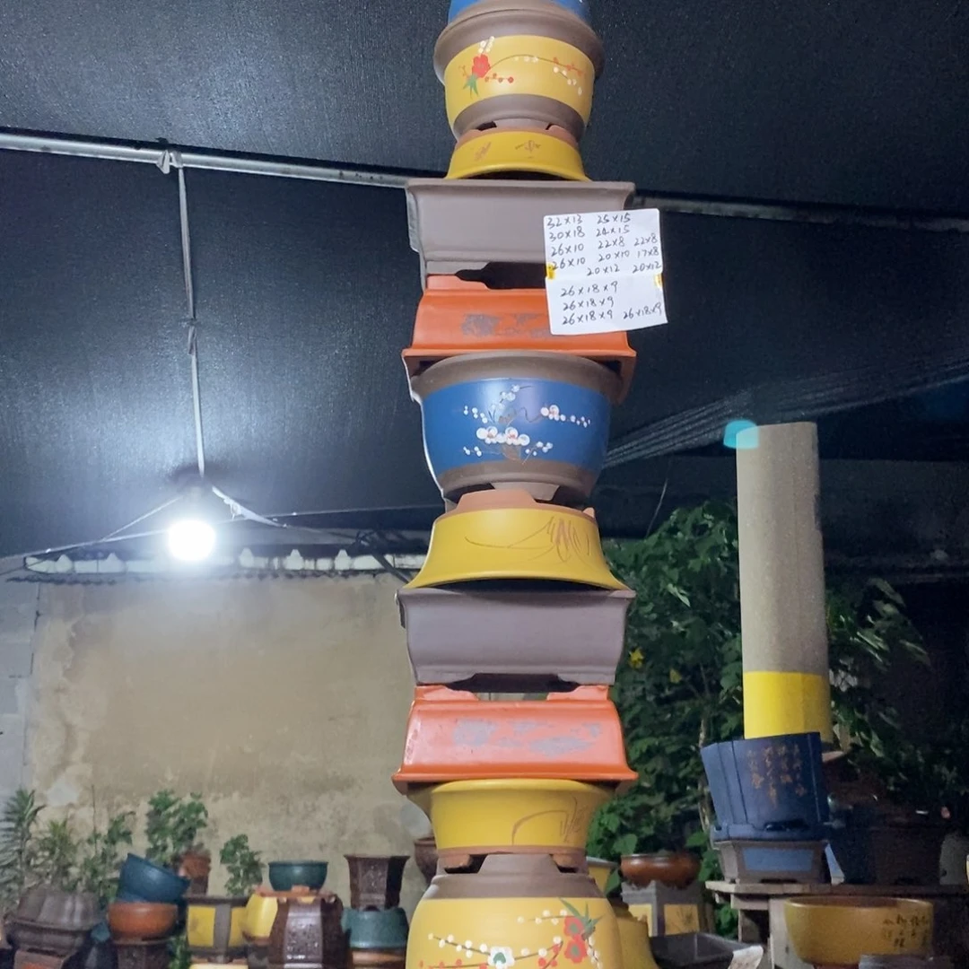 紫砂紫砂紫砂紫砂