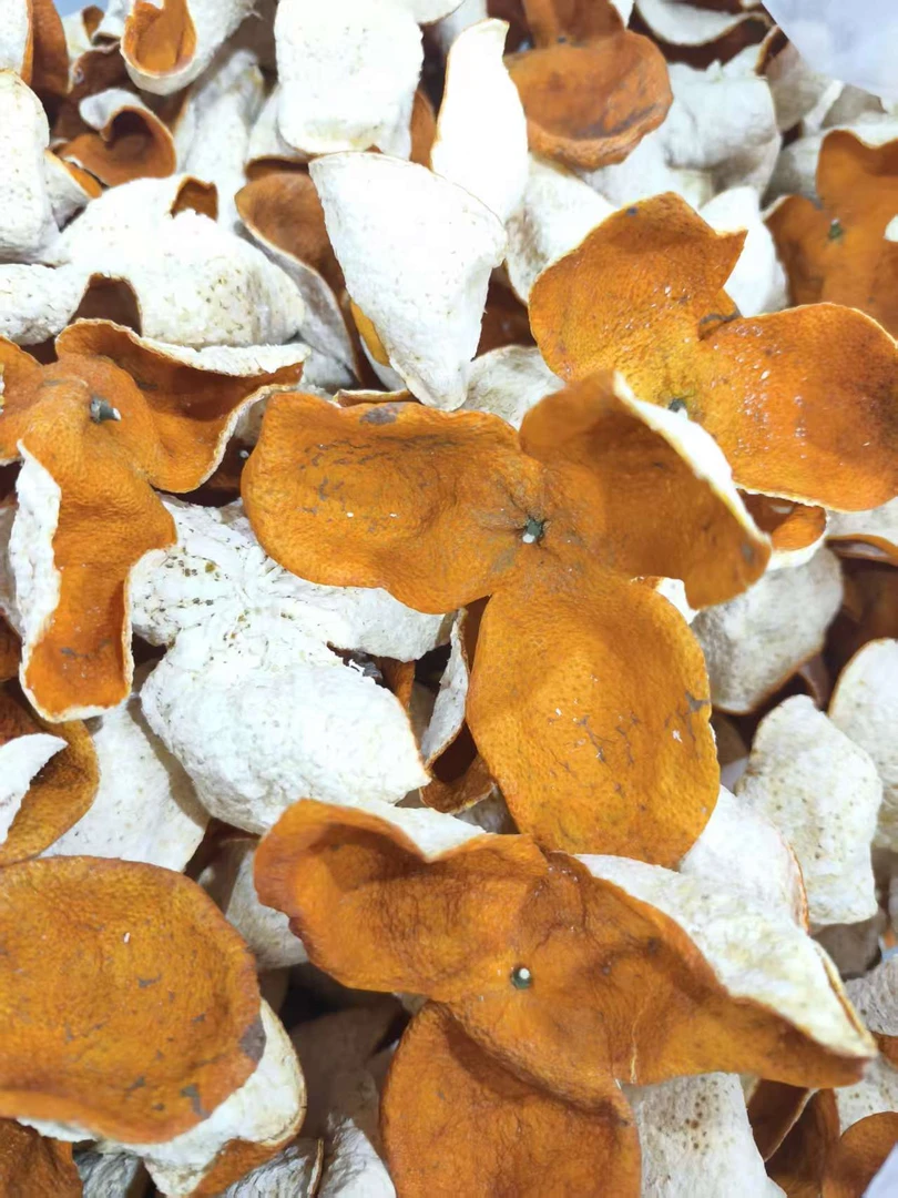 【冬后大红皮】新会三江九子沙 老树圈枝柑