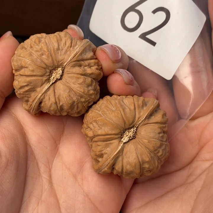 核桃62号全品南瓜43尺