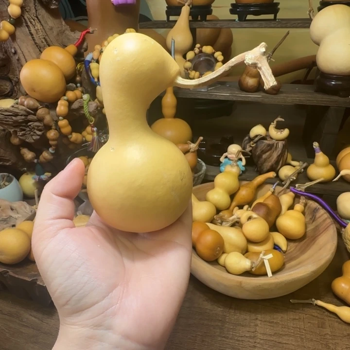 M厚皮异形天然葫芦葫芦葫芦葫芦