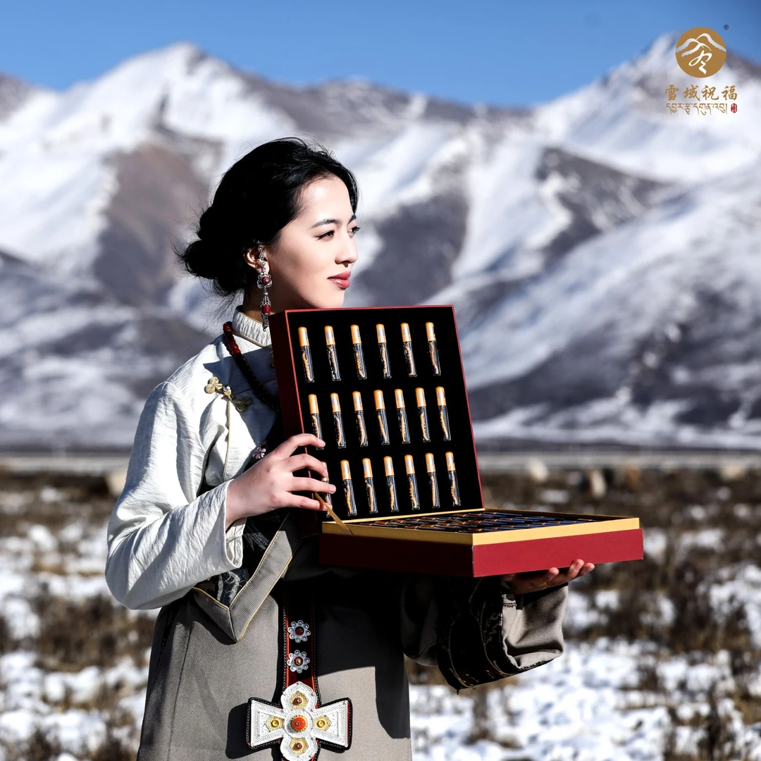 雪域祝福 野生冬虫夏草精品礼盒