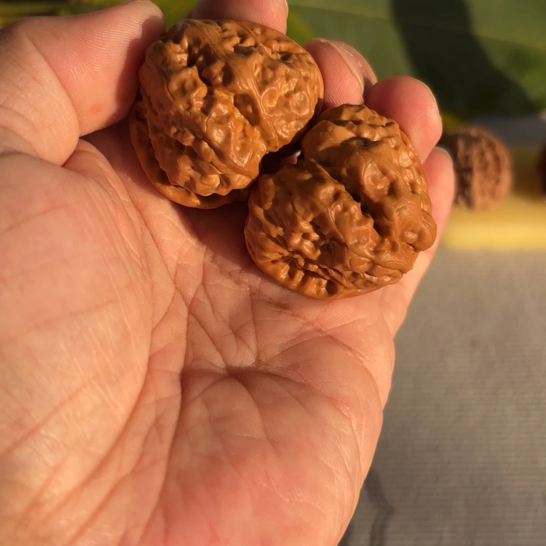 刘***玩文玩核桃把件蛤蟆头