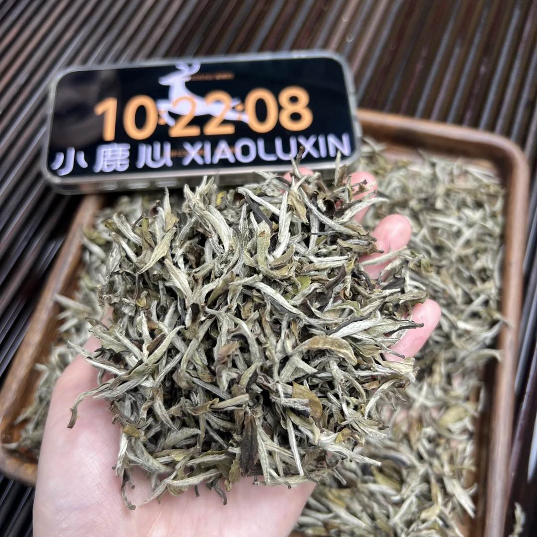 雪后白牡丹 ③  小鹿收茶 福鼎白茶  盒装茶叶 22 ***