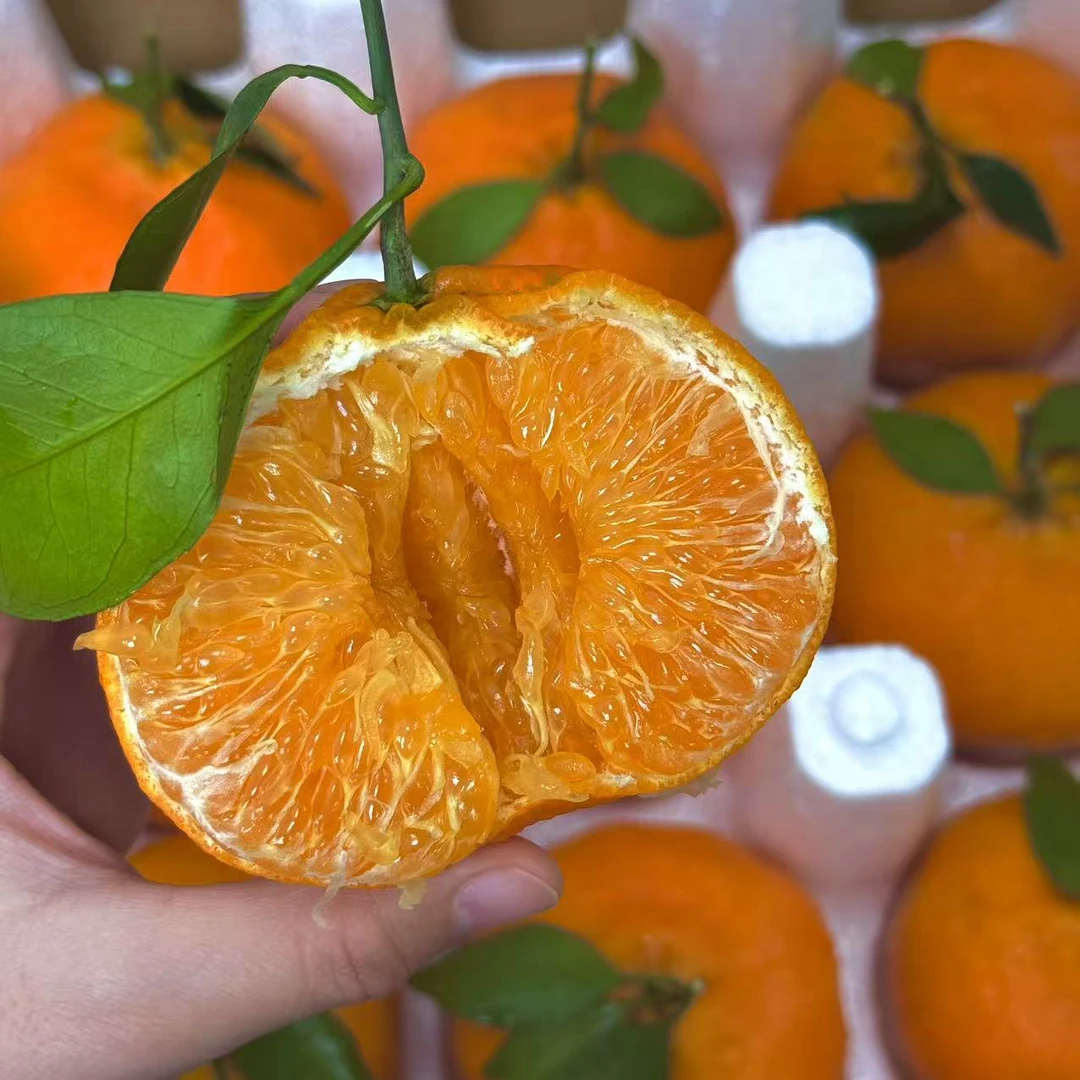 【柑橘皇后】四川甘平柑橘 当季新鲜 鲜嫩多汁 产地直发 3/5斤