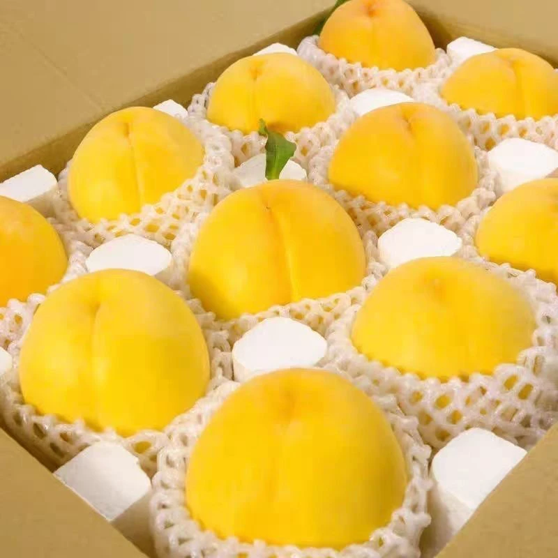 顺丰包邮！顺丰包邮、枣阳黄桃！纯甜无酸果园新鲜采摘直发