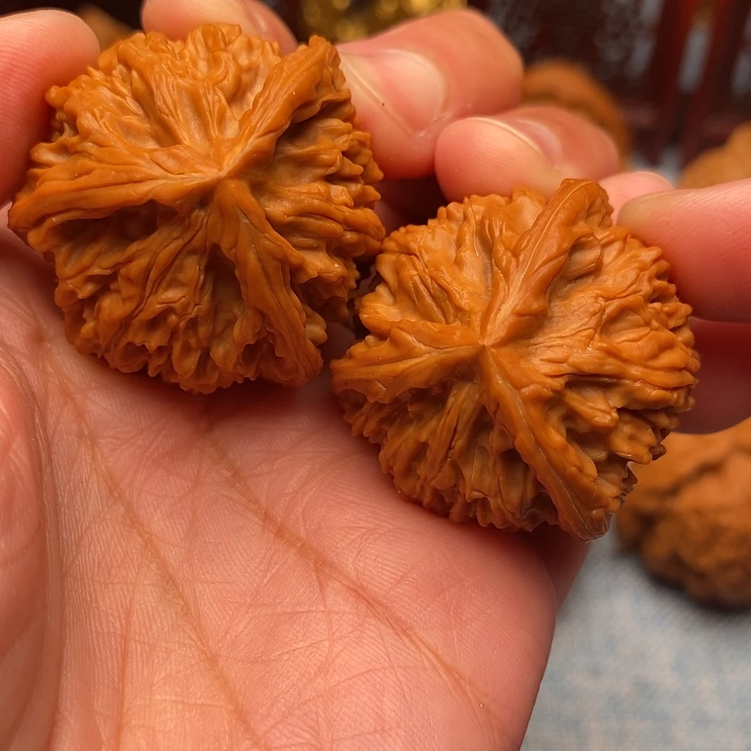 张***辘把件文玩核桃全品毕业御龙奔奔35尺