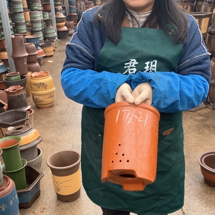 紫砂花盆盆栽花卉苗木种植