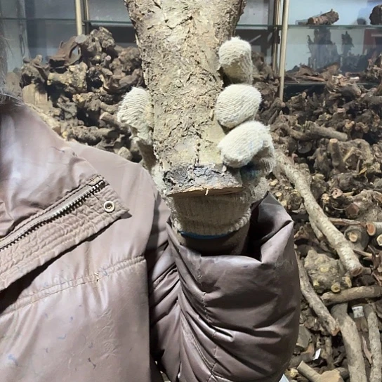 香榧木?****火琉璃的故事毛料摆件