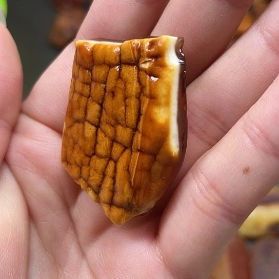 定制琥珀俄料金白原石