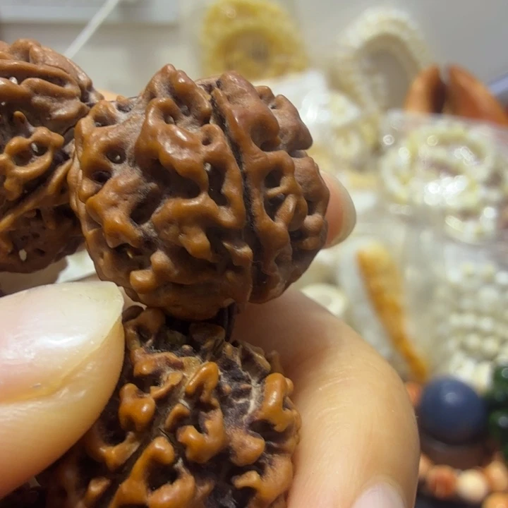 大果紫檀（缅甸花梨）须子