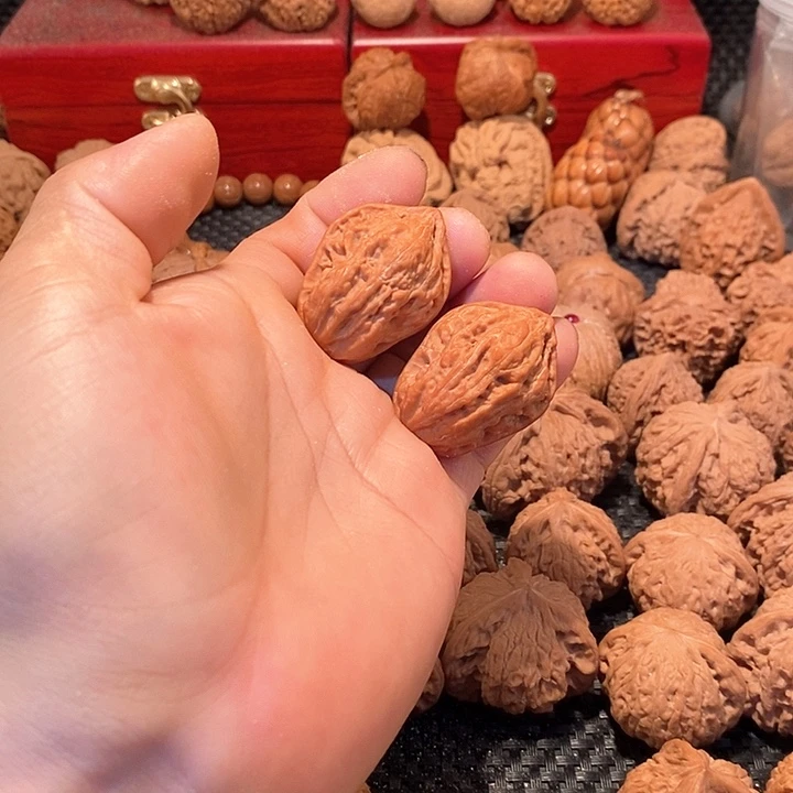 野生小手捻芭蕉扇一对