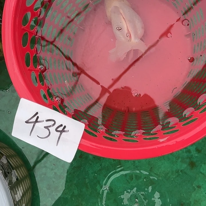 434包邮到家嘿嘿嘿嘿嘿嘿嘿嘿