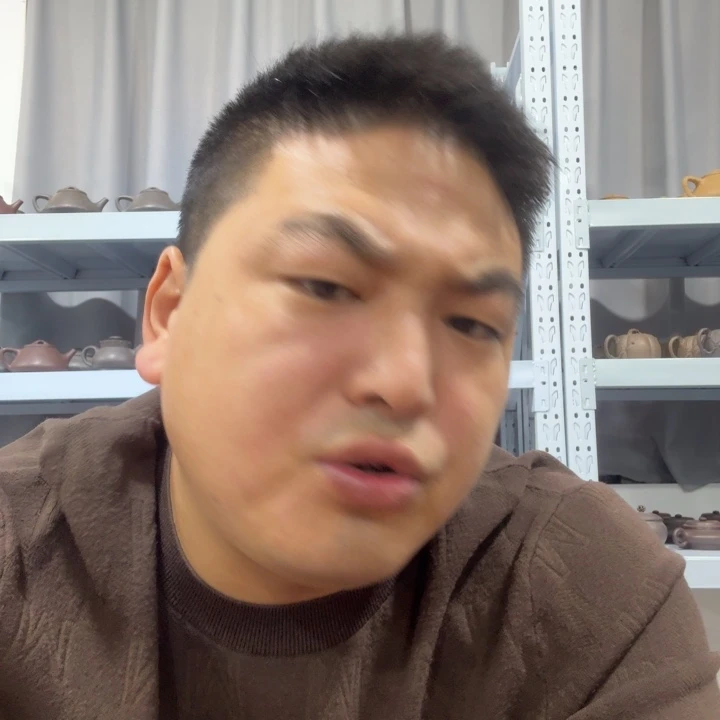 秋***️紫砂茶壶5555888885588