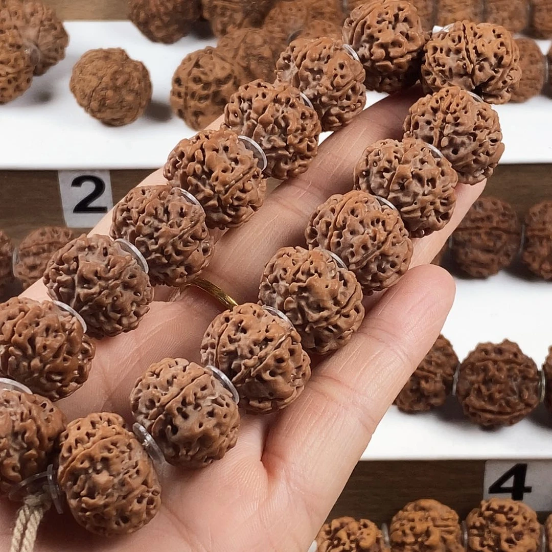 吊坠金刚菩提原生态纯天然6瓣纽扣