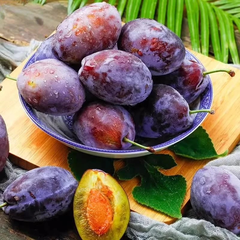 西梅鲜果戈壁现摘现发放软多汁味甜低糖