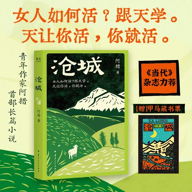 【安徽新华】【新华正版】沧城 阿措 滇西北小城 女性的坚韧生命力 女