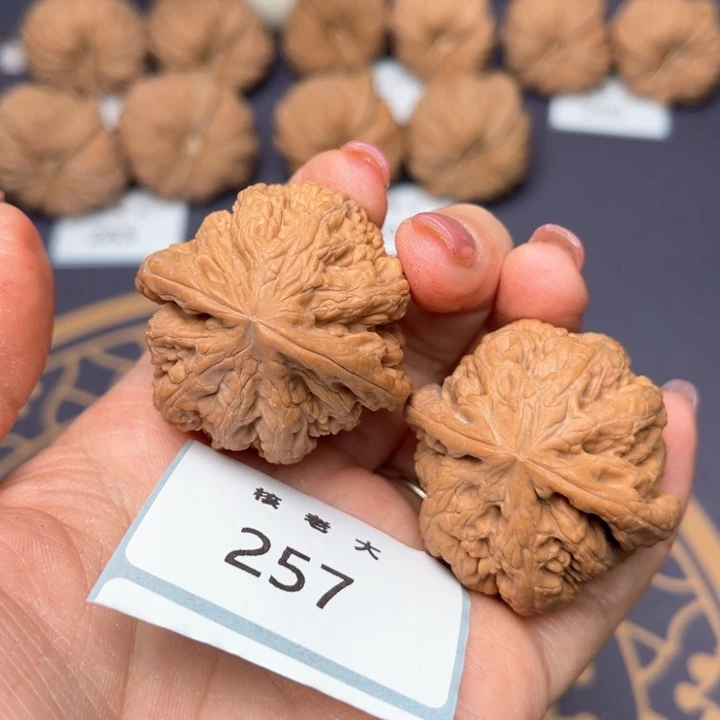 文玩核桃把件38大粗筋 257
