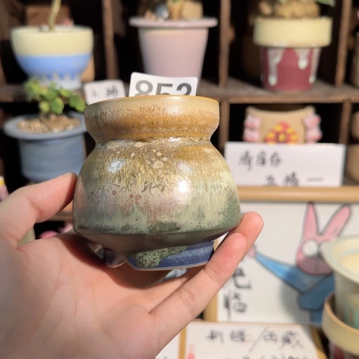 淡853 口6默认微瑕 五搭一