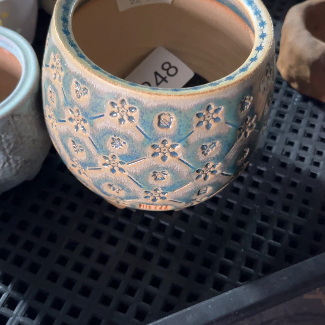 红陶果**条248花盆1个