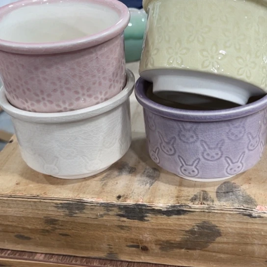 口径问客服，满9元包邮，水培在3号链接