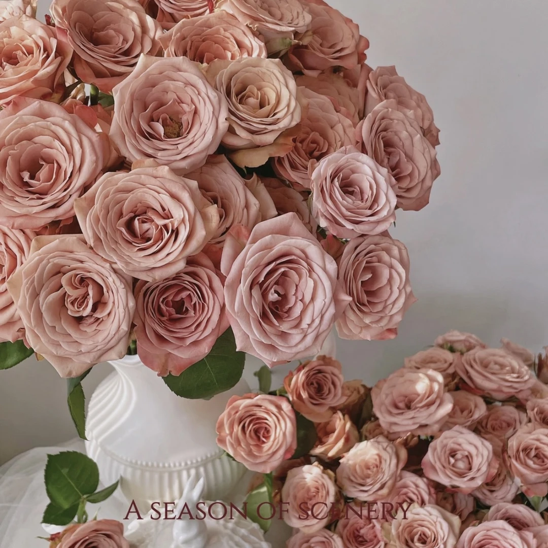 卡布奇诺 两单升级顺丰 云南基地直发