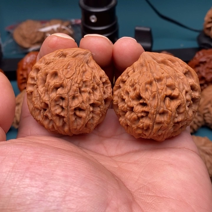 把件文玩核桃水龙纹异形