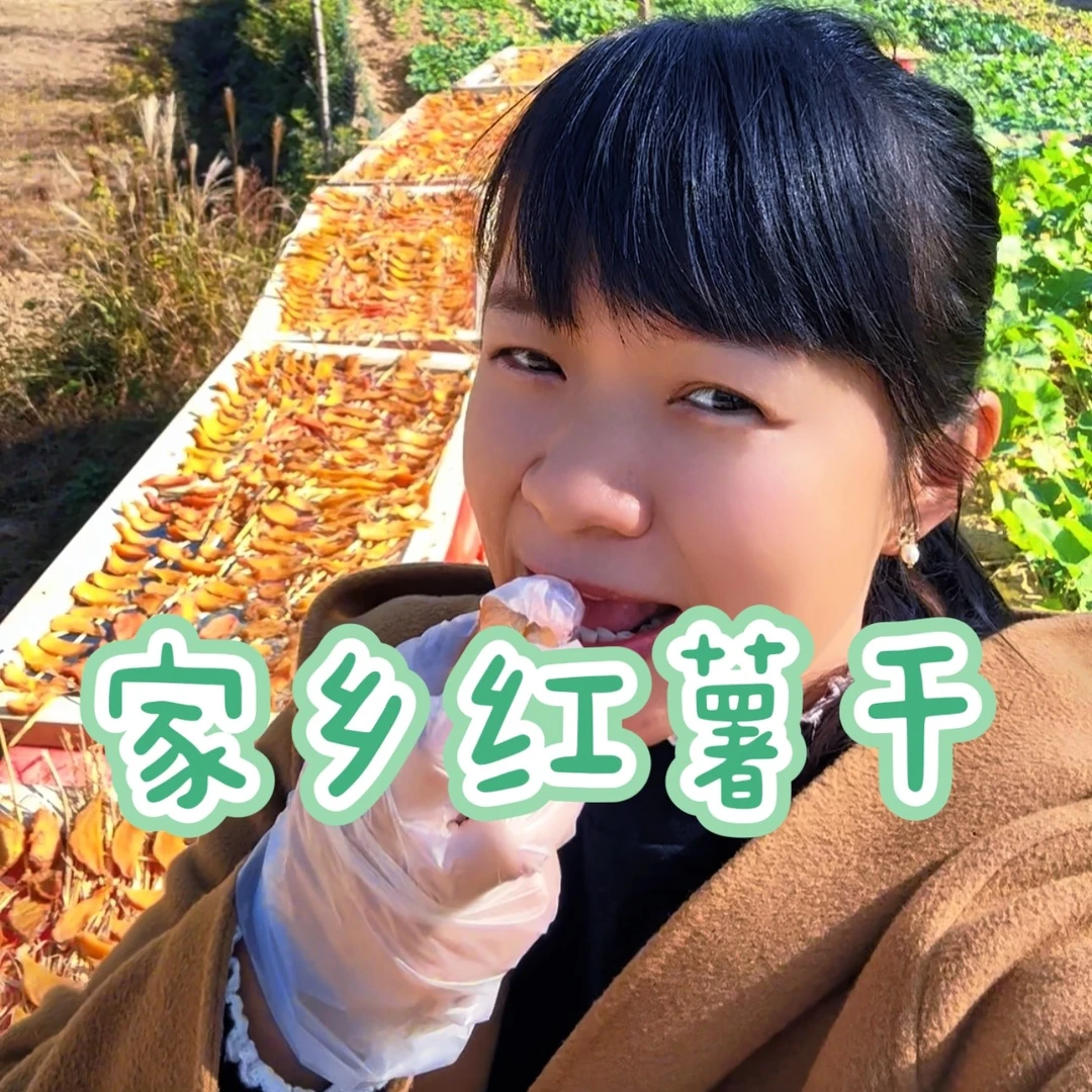 双峰本地自然晾晒农家红薯干 不加糖 原汁原味 老式做法