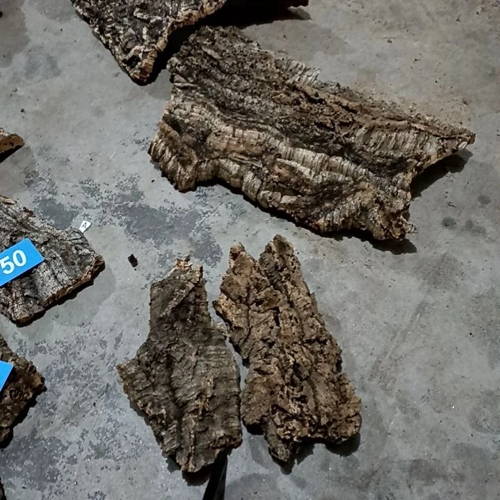 木一物一拍一物一发