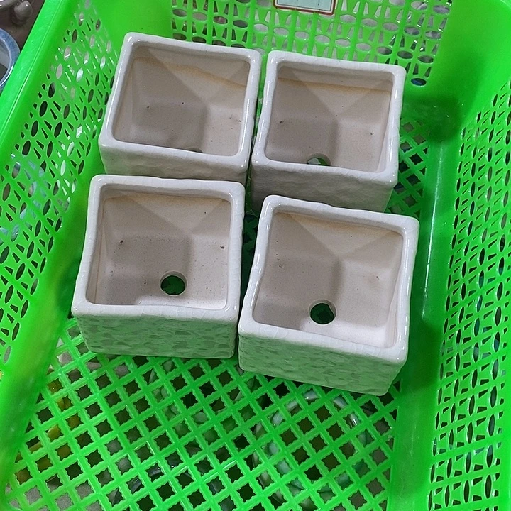 花盆抢购清货马上开始