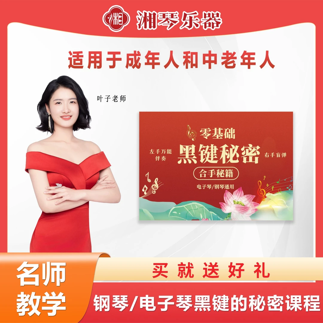 湘琴音乐叶子电子琴钢琴左手万能伴奏黑键课程零基础小白快速入门