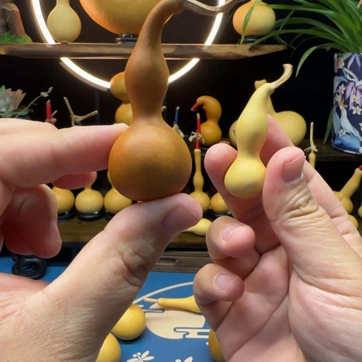 哈**气一物一图偏远地区不包邮