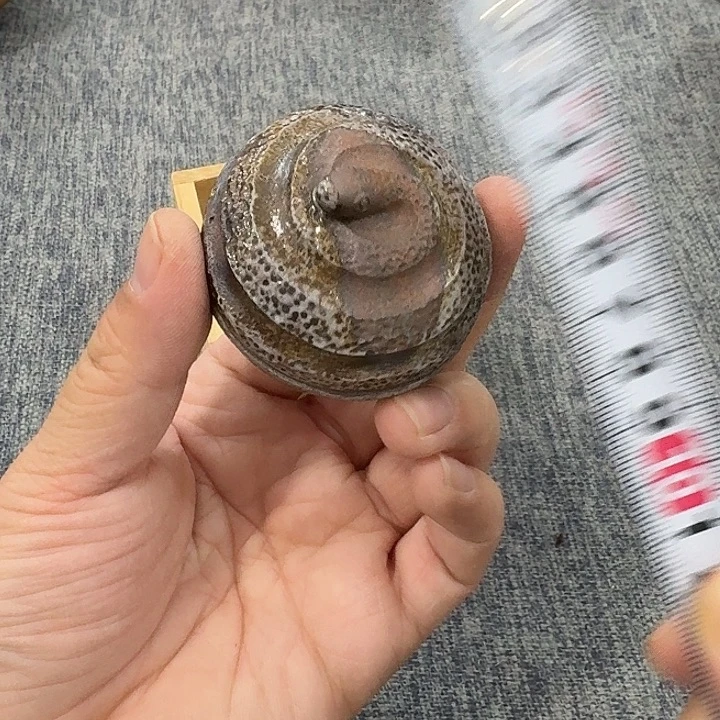 非常美丽漂亮的物品
