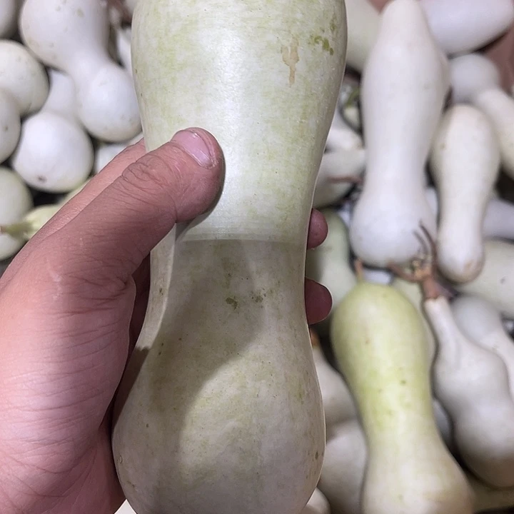 大果紫檀（缅甸花梨）叉**机