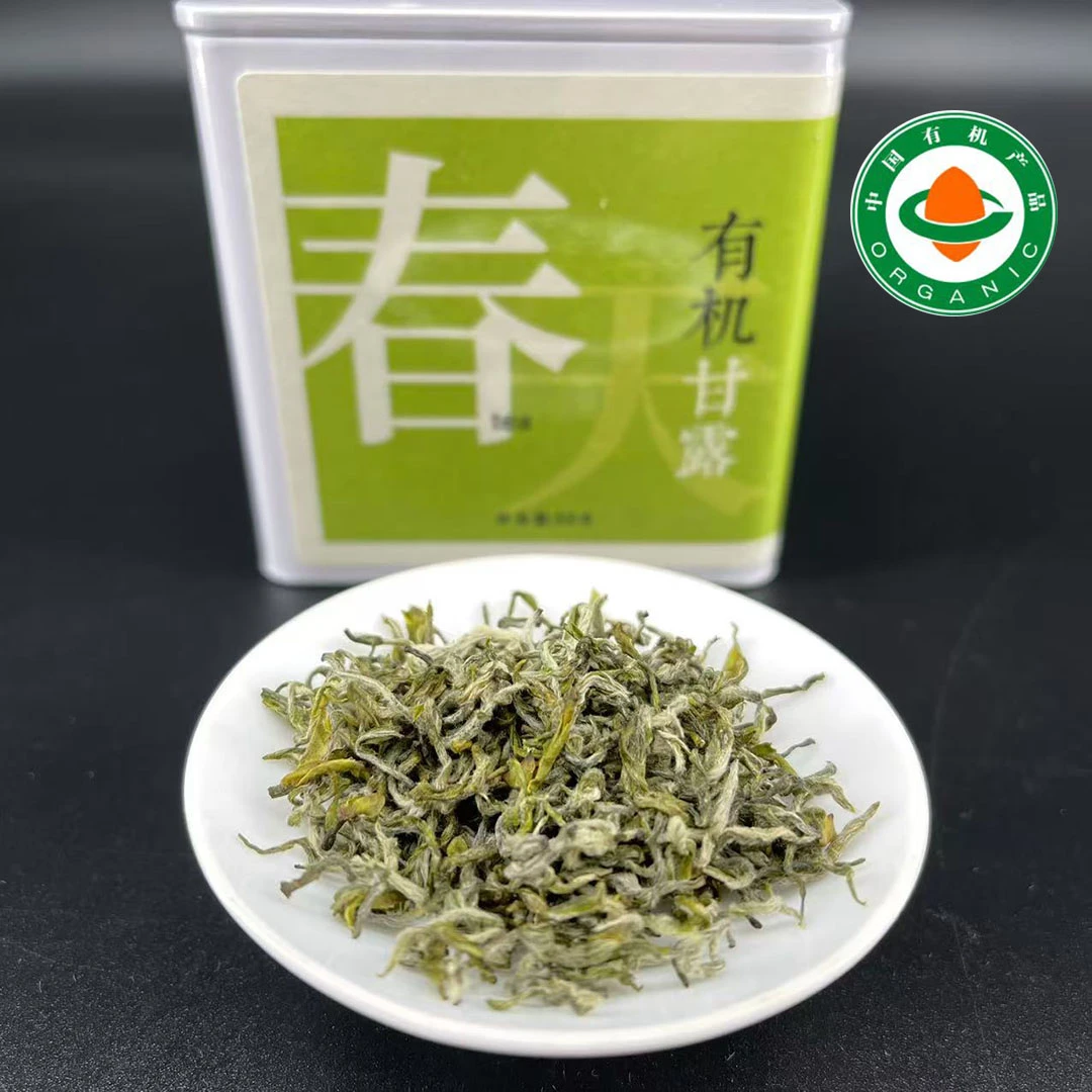 有机甘露绿色茶叶荒野群体种老川茶头采单芽2025年春天的一口鲜甜