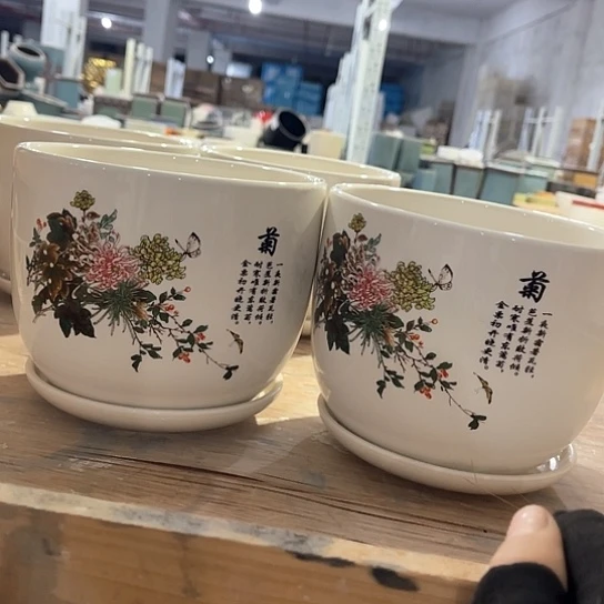 多肉绿植陶瓷花盆