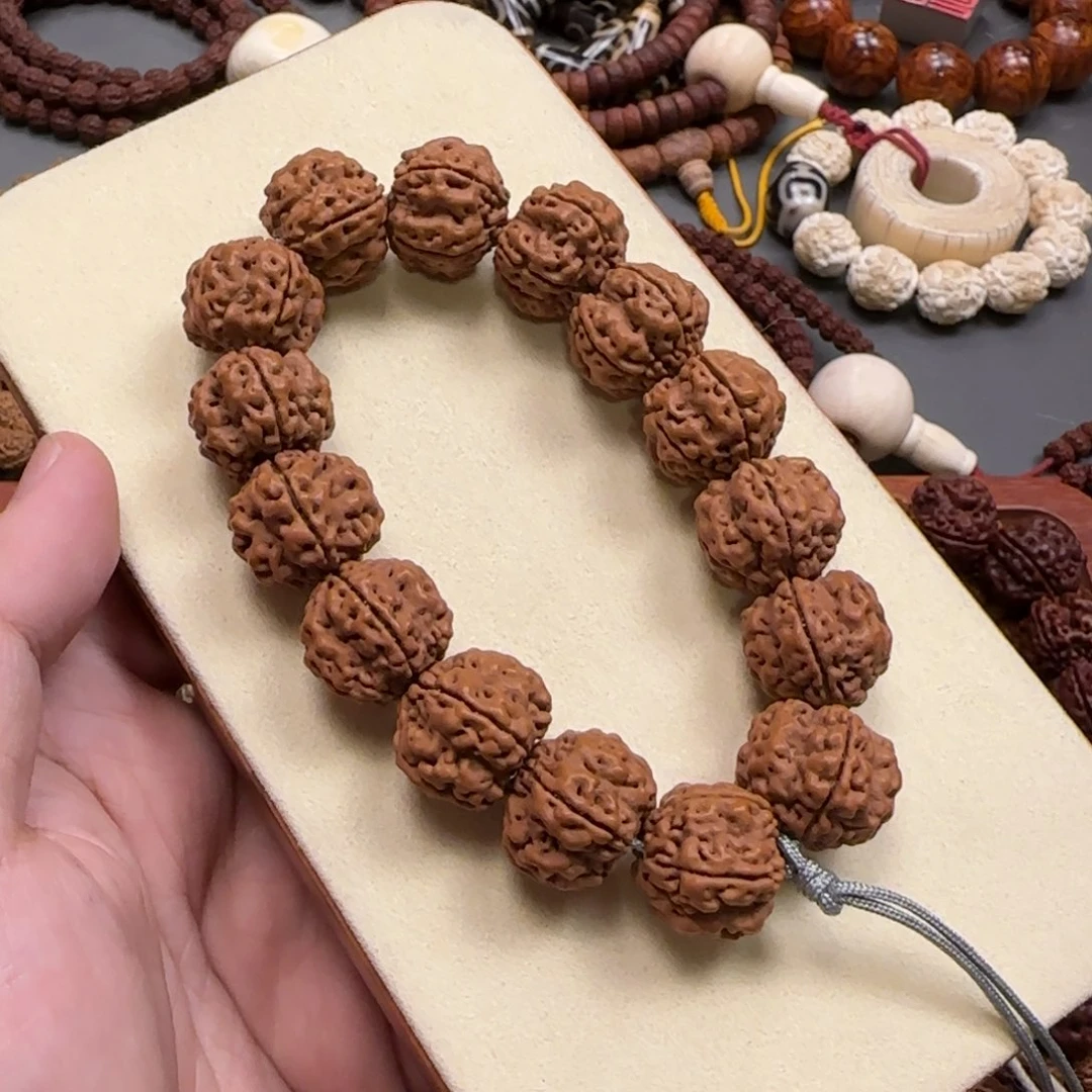 金刚菩提手串【毕业帝王花】10mm