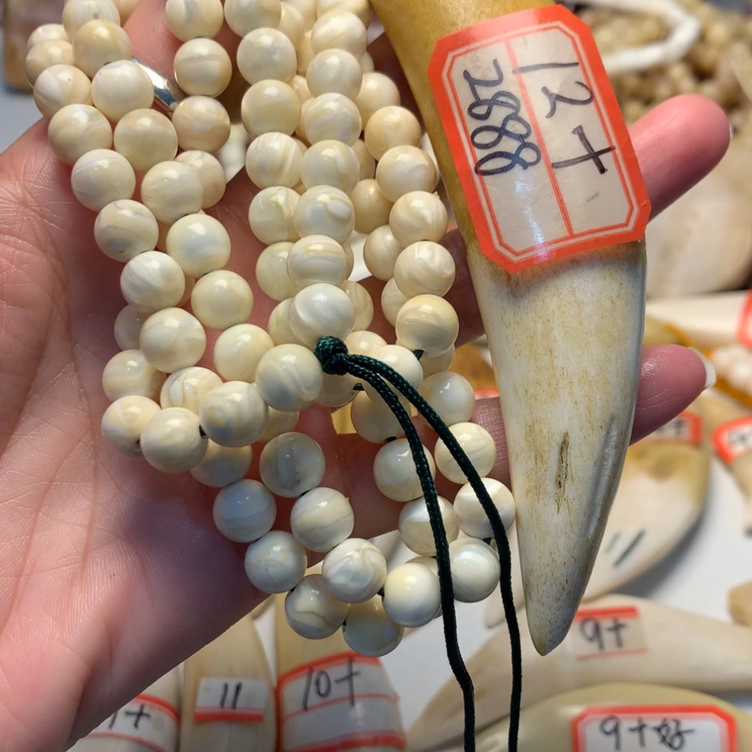 驼骨把件驼骨把件12加牙和一条链子