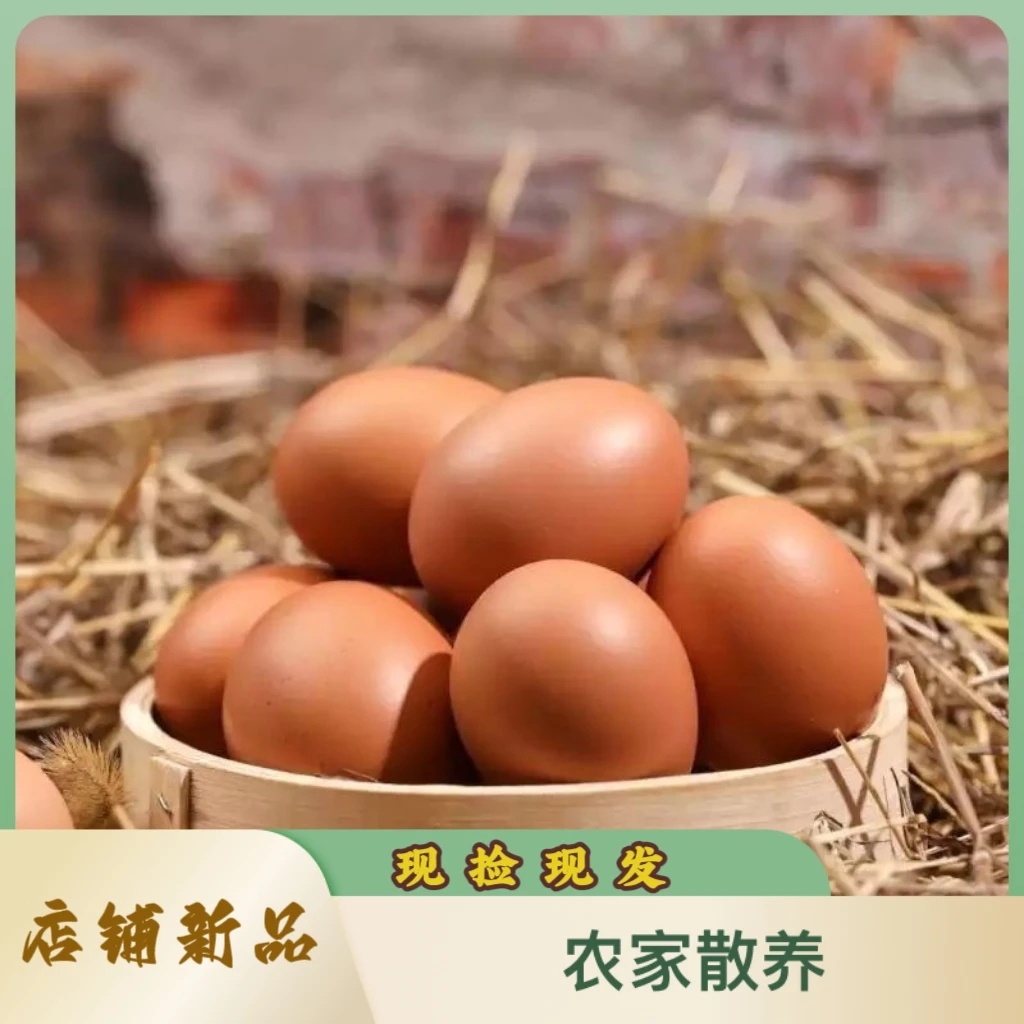 贵州新鲜红皮土鸡蛋柴鲜鸡蛋农村生鲜鸡蛋草鲜鸡蛋农村生鲜鸡蛋