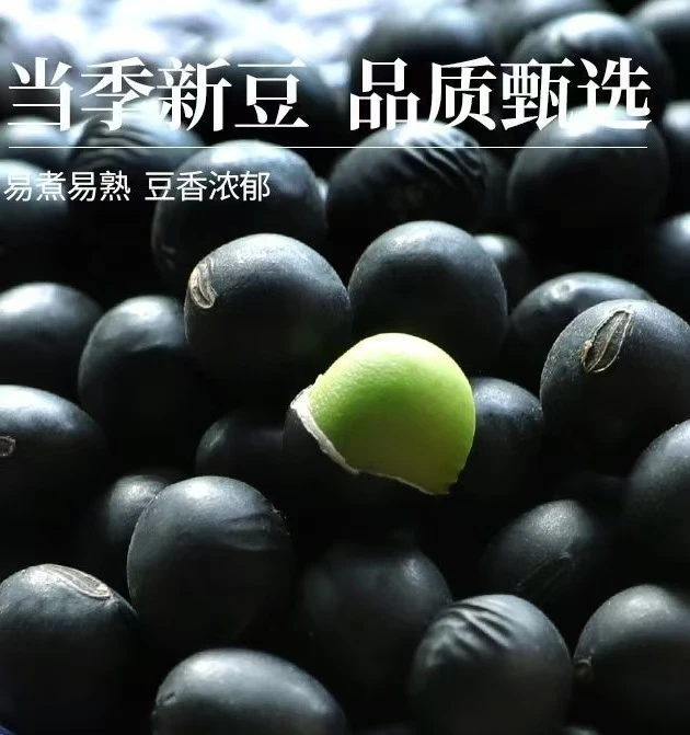 东北农家绿心黑豆新货青仁绿芯打豆浆五谷杂粮煮粥可发芽