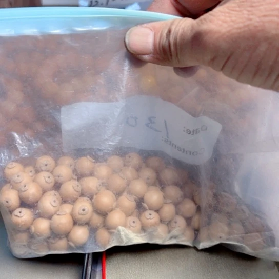 浙****司福希猴头龙岩老型毛坯