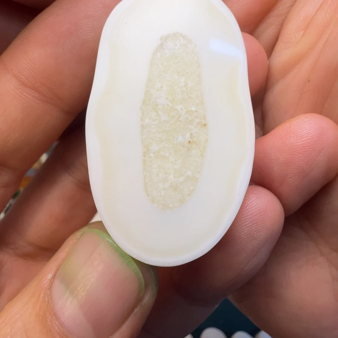 天***迷树脂制品海胖饼子22.4