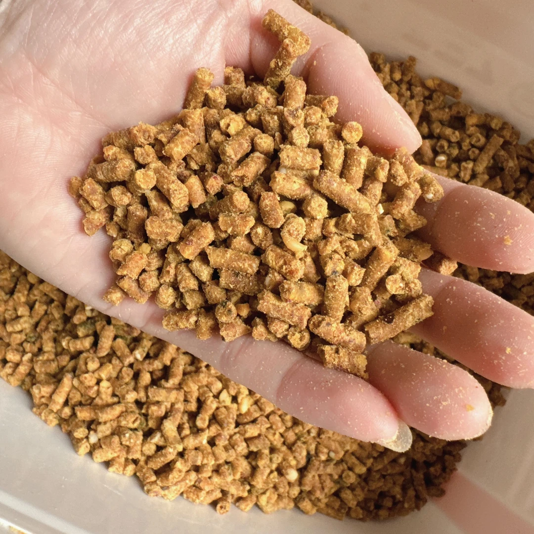 【直播链接】买鸟粮送小宝