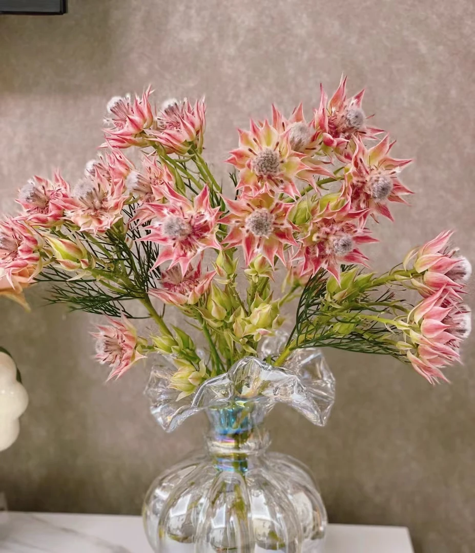 新娘花鲜切花基地直发高品质家居装饰花云南基地直发