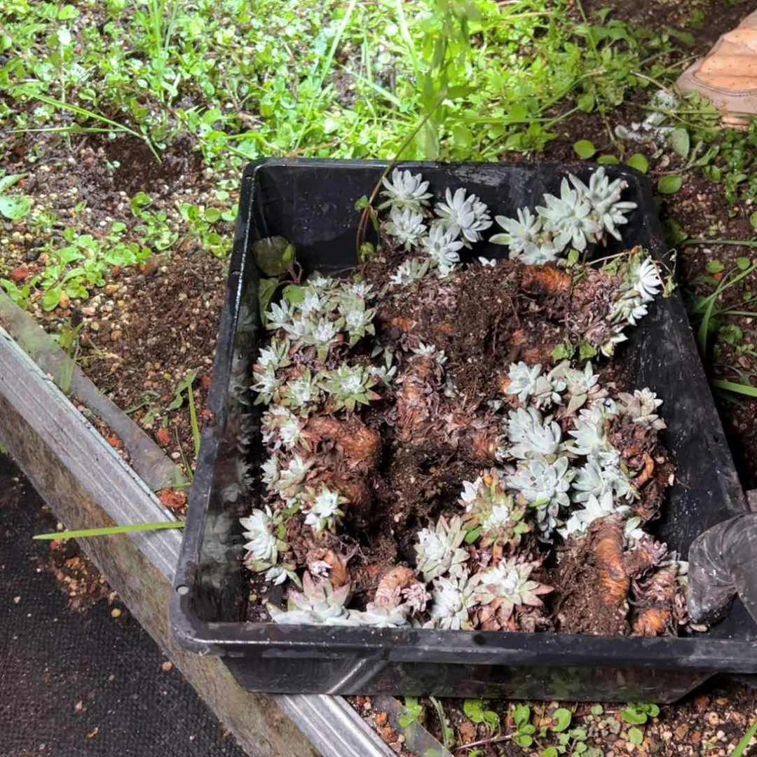 5561哈哈哈哈哈哈哈哈