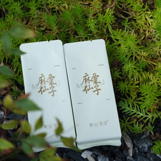 【新品上新】夷山觅叶桐木红茶麻粟仙子2泡品鉴装