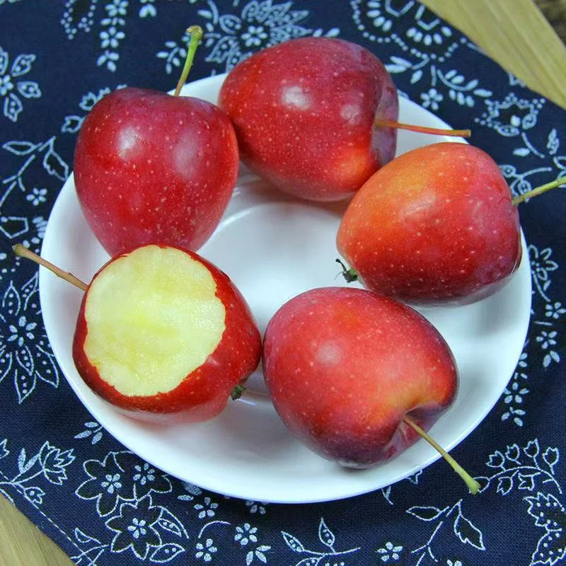 tc【樱桃小苹果】香妃海棠脆甜口感 东北特产 当天采摘 头茬鲜果