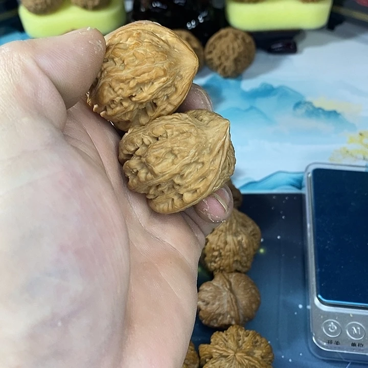 全品无休赤龙鸡心