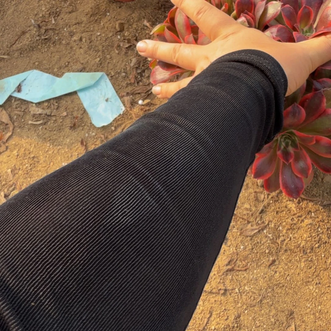 843浣纱。多肉植物