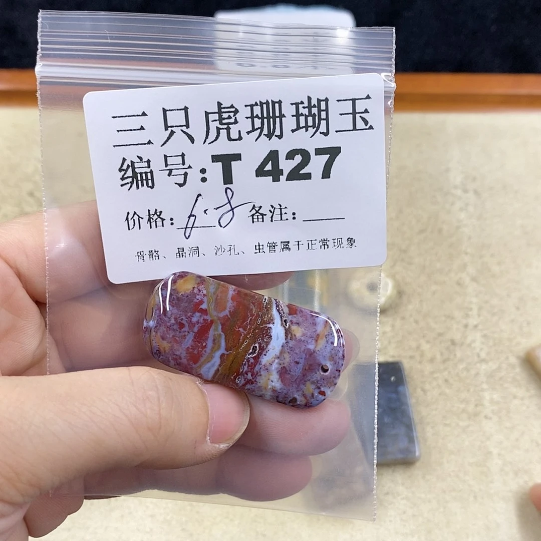 硅化珊瑚（珊瑚玉）1未镶嵌小*